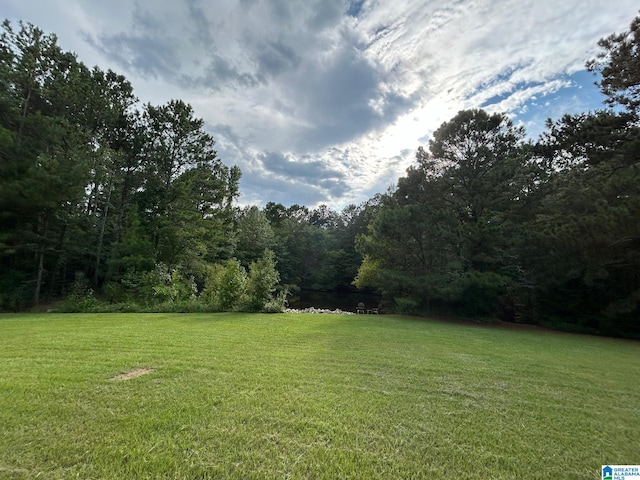 view of yard featuring a view of trees