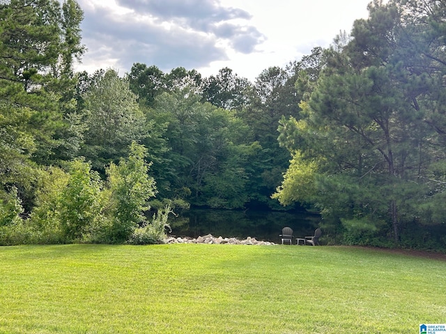 view of yard featuring a forest view