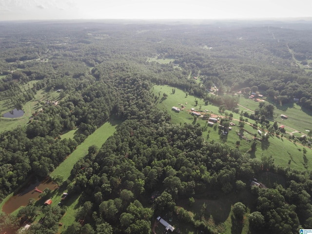 bird's eye view with a forest view