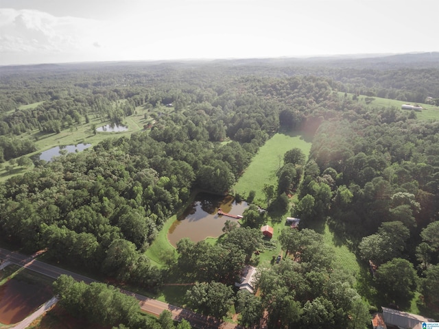 birds eye view of property with a wooded view and a water view