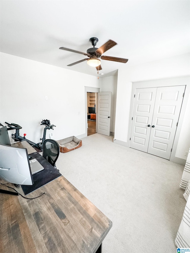 workout room featuring ceiling fan and carpet