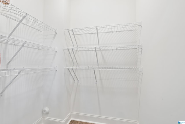 spacious closet featuring wood-type flooring