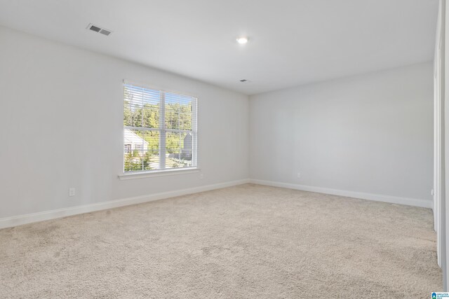 walk in closet with carpet floors