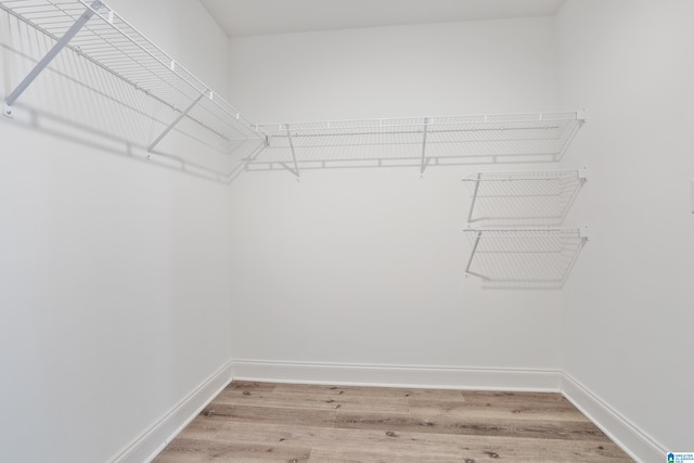 spacious closet with wood-type flooring