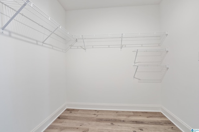 spacious closet featuring wood finished floors