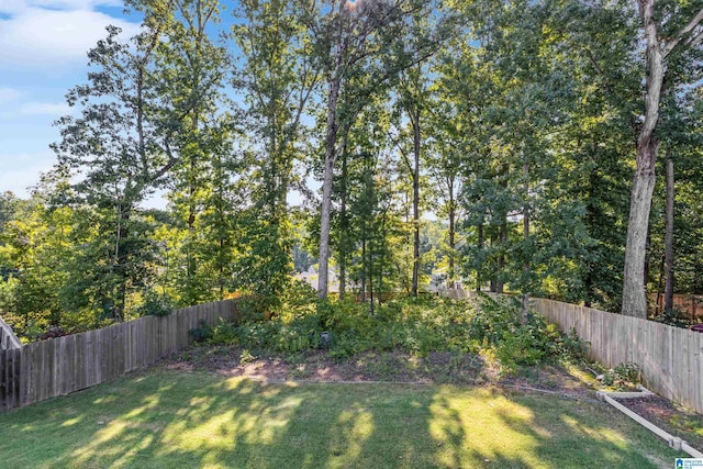 view of yard with a fenced backyard