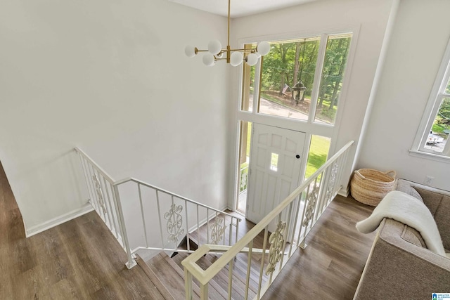 foyer entrance featuring a notable chandelier, dark hardwood / wood-style floors, and a healthy amount of sunlight