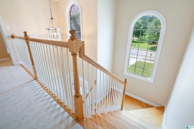 stairs with light hardwood / wood-style flooring