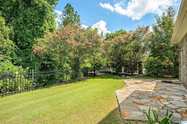 view of yard with a patio area