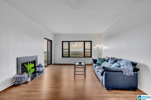 living room featuring a textured ceiling and hardwood / wood-style floors