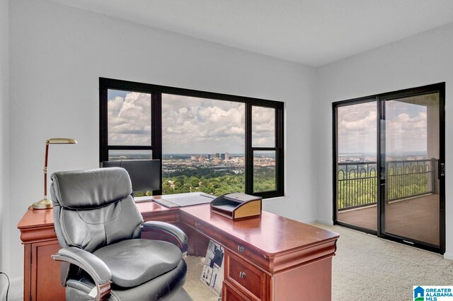 view of carpeted office space