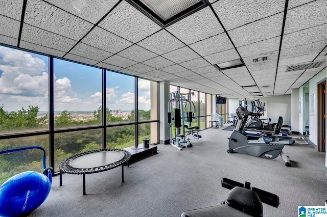 gym with a wall of windows and carpet flooring