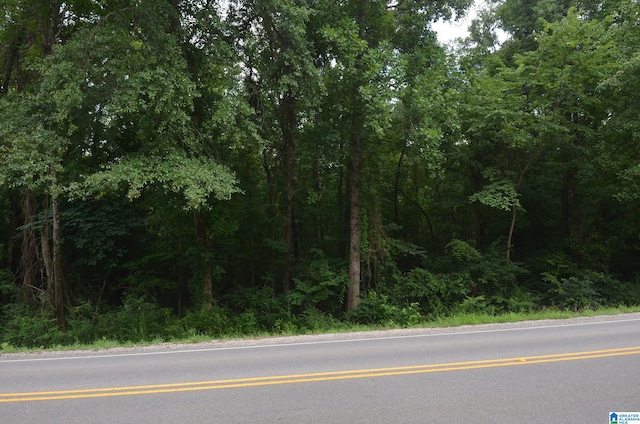 Listing photo 2 for 0 Alexandria Jacksonville Hwy Unit 8, Jacksonville AL 36265