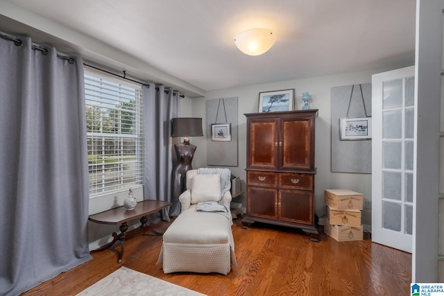 sitting room featuring wood-type flooring