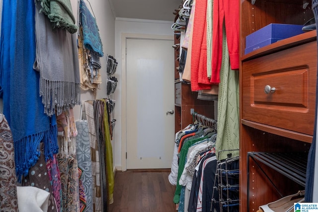 walk in closet featuring hardwood / wood-style floors