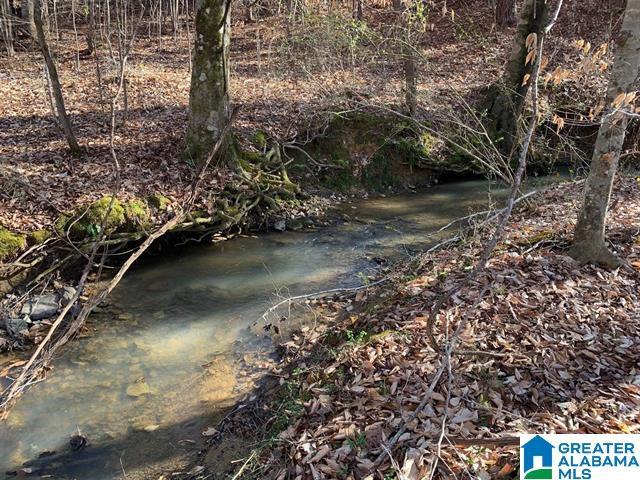 LOT2 Mountainside Dr Unit 2, West Blocton, AL 35184
