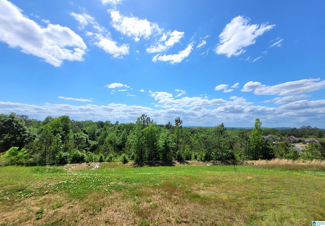 view of local wilderness featuring a rural view