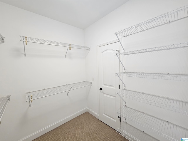 walk in closet with light carpet