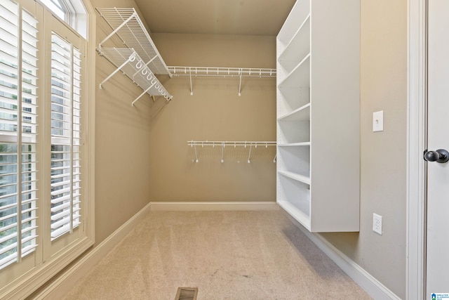 walk in closet featuring carpet flooring