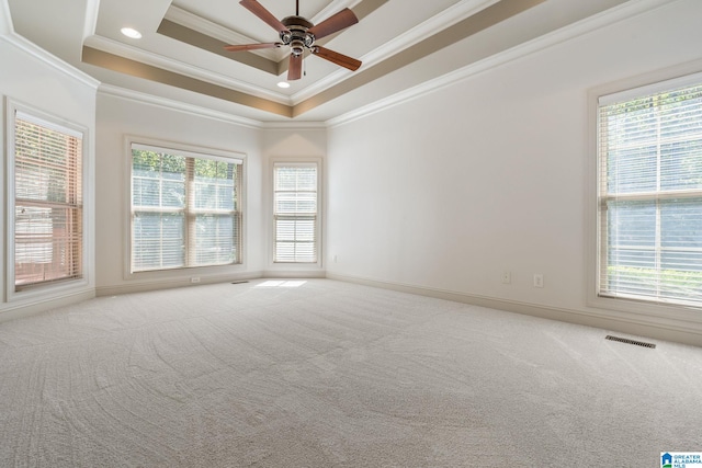 carpeted spare room featuring crown molding, plenty of natural light, ceiling fan, and a tray ceiling