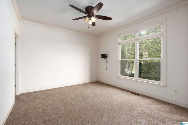 carpeted spare room featuring ornamental molding and ceiling fan