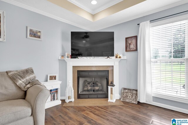 living room with a tray ceiling, dark hardwood / wood-style floors, and crown molding