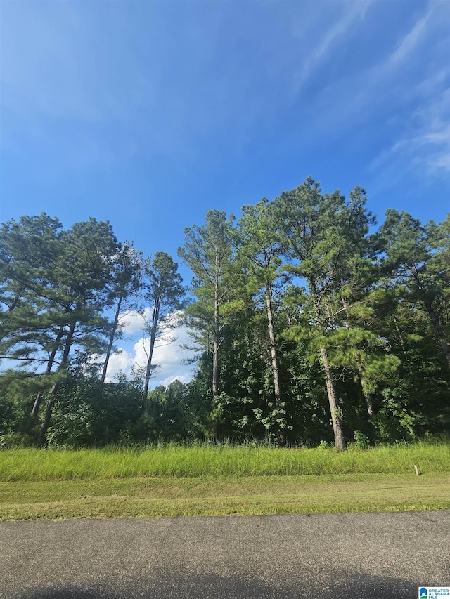 Listing photo 2 for 101 Robinson Pond Rd Unit 101, Prattville AL 36067