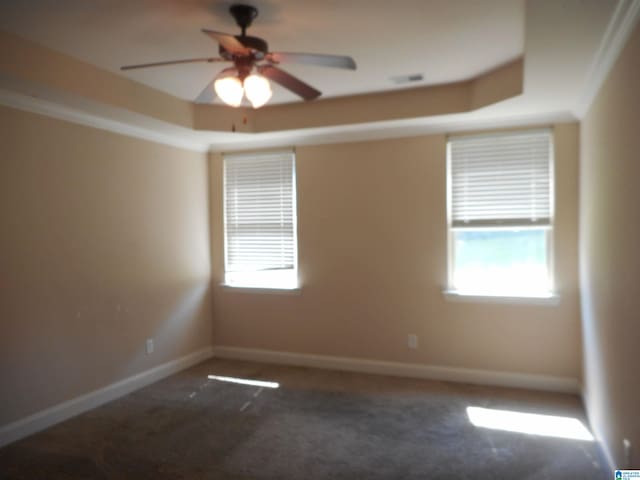 unfurnished room featuring ceiling fan, carpet flooring, and a tray ceiling