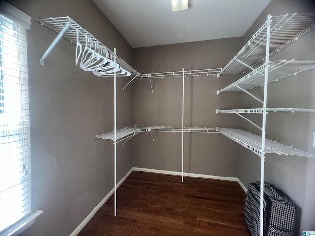 walk in closet with wood-type flooring