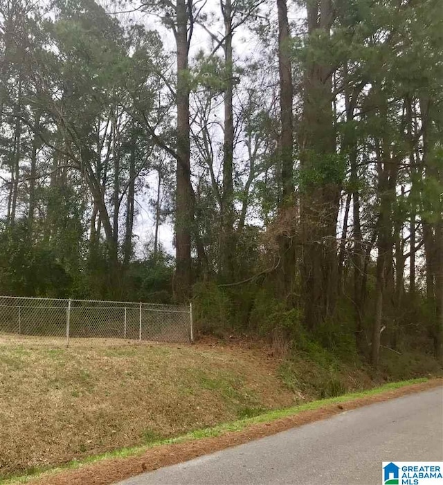 Listing photo 2 for 0 Cave Rd Lot 3And 4, Anniston AL 36206