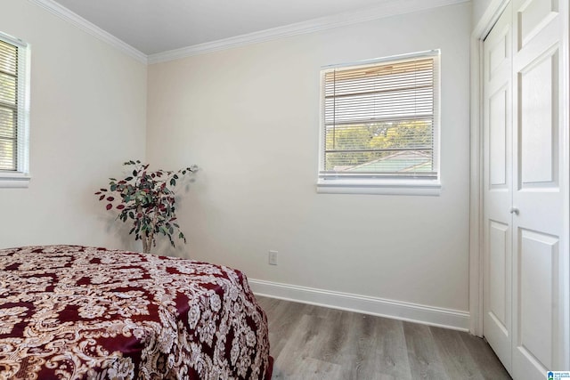 bedroom with hardwood / wood-style flooring, a closet, and multiple windows