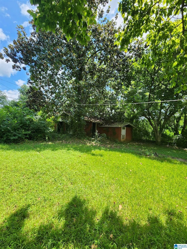 view of yard featuring an outbuilding