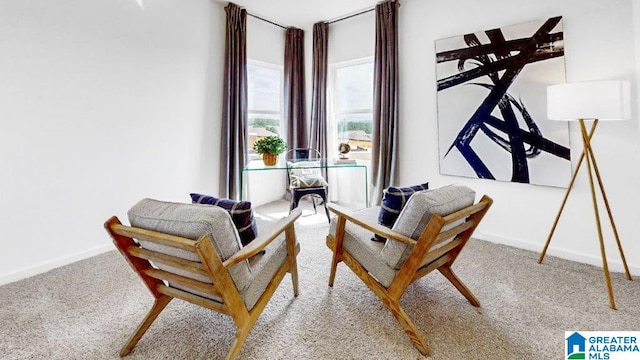 sitting room with carpet floors