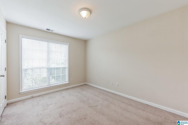 carpeted empty room with a healthy amount of sunlight