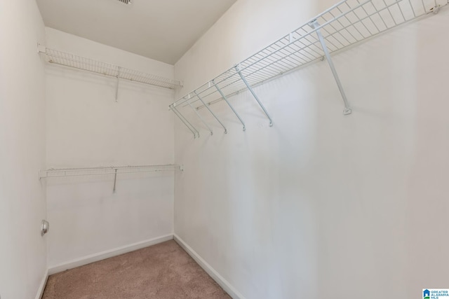 spacious closet featuring light colored carpet