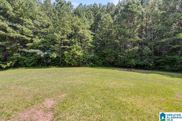 820 Boozer Rd, Heflin, AL 36264 - view of grassy yard featuring a forest view