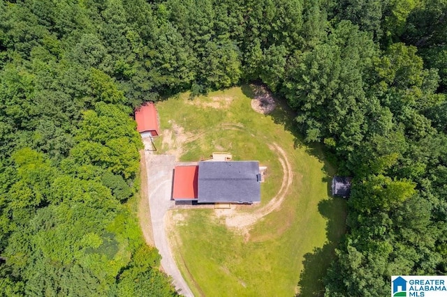 820 Boozer Rd, Heflin, AL 36264 - drone / aerial view of a forest