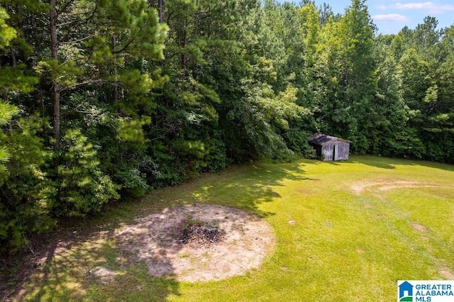820 Boozer Rd, Heflin, AL 36264 - view of grassy yard featuring a wooded view, an outbuilding, and a storage shed