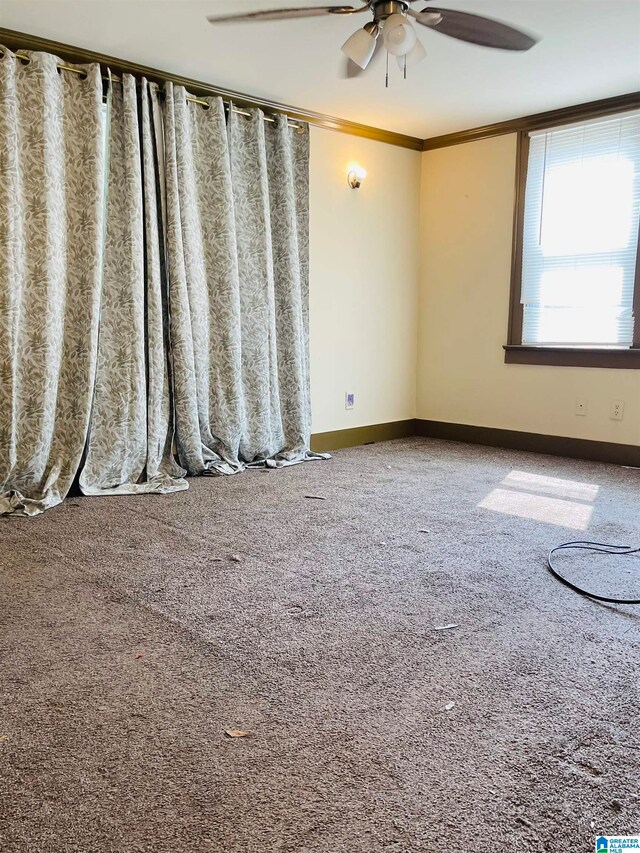 empty room featuring carpet floors, ceiling fan, and crown molding