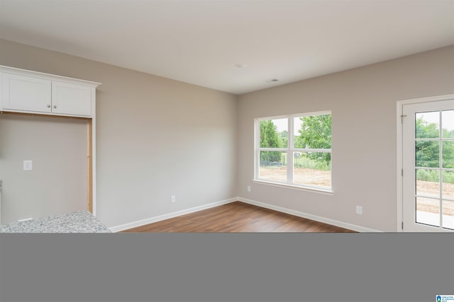 spare room featuring wood-type flooring and plenty of natural light