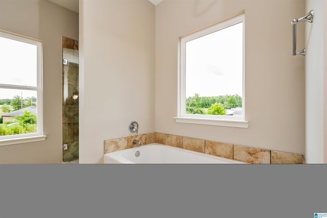 bathroom featuring a washtub and a healthy amount of sunlight