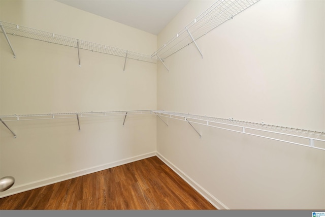 walk in closet with dark wood-style floors