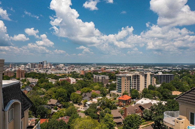 bird's eye view