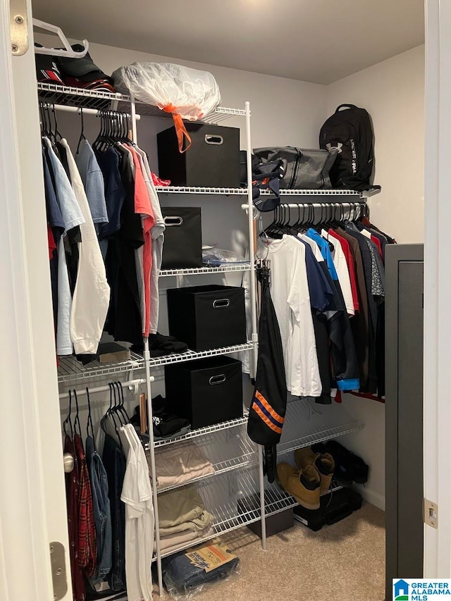 walk in closet featuring carpet floors