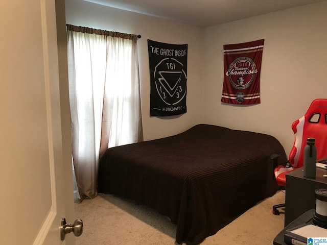 bedroom with carpet floors