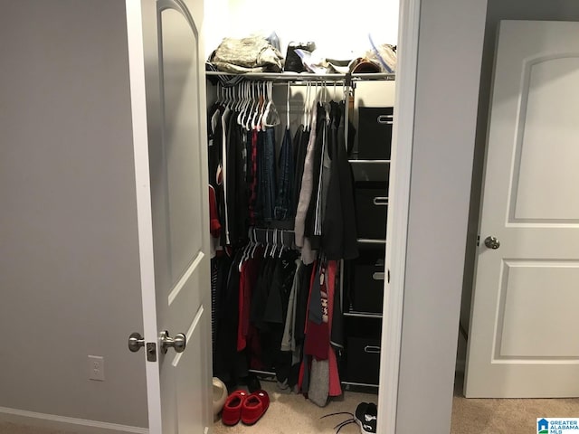 view of closet