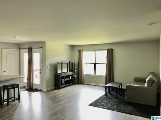 sitting room with wood-type flooring