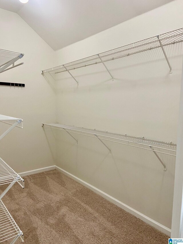 spacious closet featuring carpet flooring