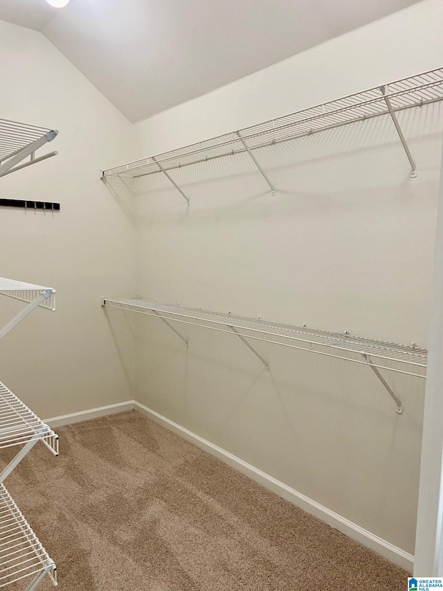 spacious closet with carpet and vaulted ceiling