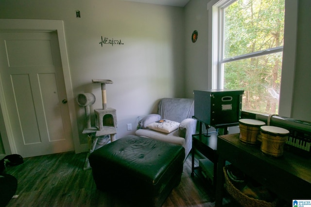 sitting room with dark hardwood / wood-style floors